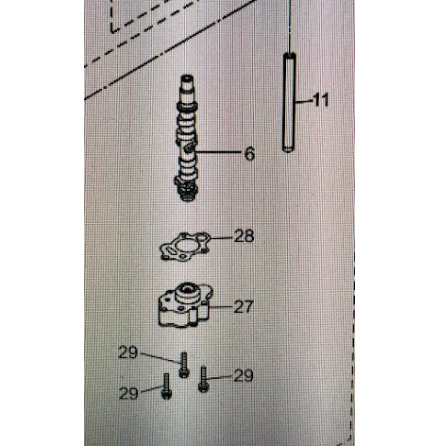 Arm, kamvippor Mercury