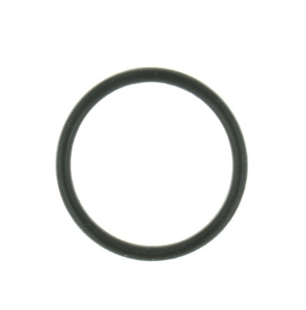 O-ring Mercury