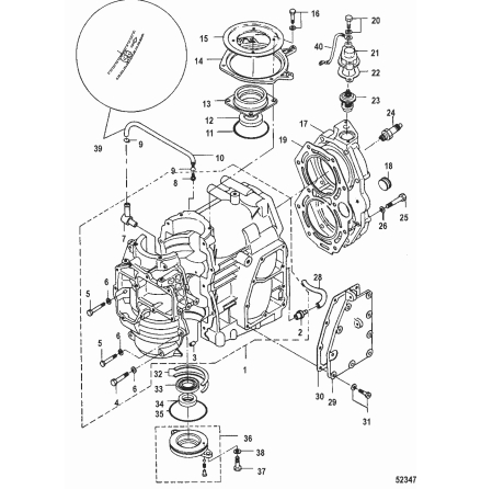 Brnsleslang Mercury