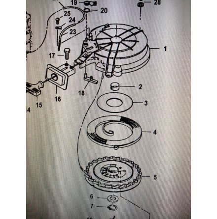 C-ring Mercury